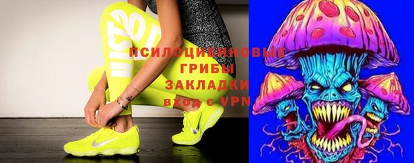 ПСИЛОЦИБИНОВЫЕ ГРИБЫ Михайловка
