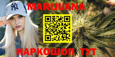 сатива Гатчина