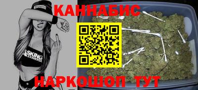 сатива Гатчина
