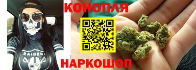 сатива Гатчина