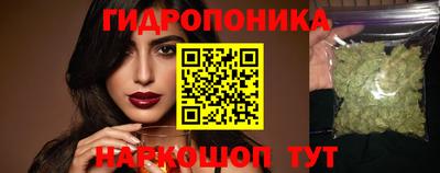 сатива Гатчина