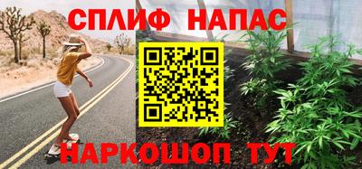 сатива Гатчина