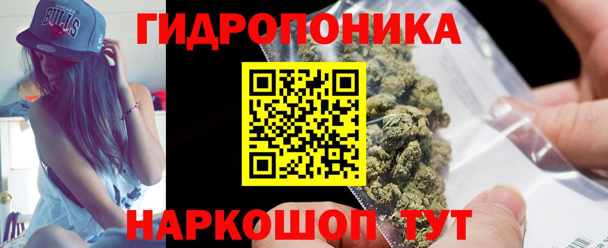 Бошки Шишки Ялта
